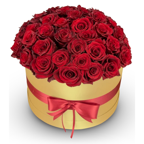 Box červených růží